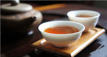 茶路千里 感受茶文化與茶道文化的深層傳播