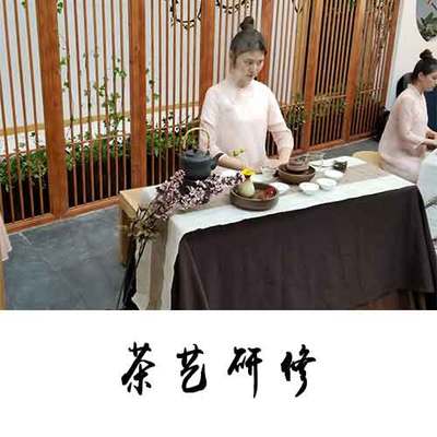 安溪鐵觀音 一葉傳承千載的茶道文化瑰寶